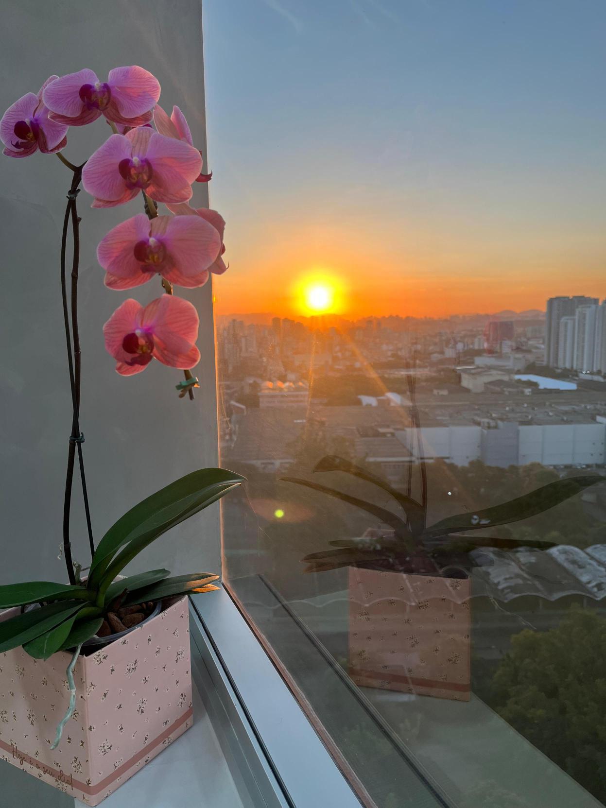 Vista do pôr do sol através da janela do consultório